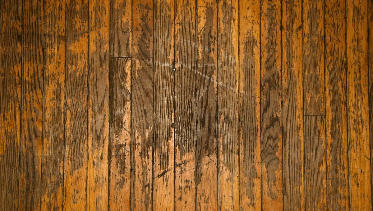 Identificar el tipo de mancha en el parquet es el primer paso para encontrar el m&eacute;todo adecuado para eliminarla.