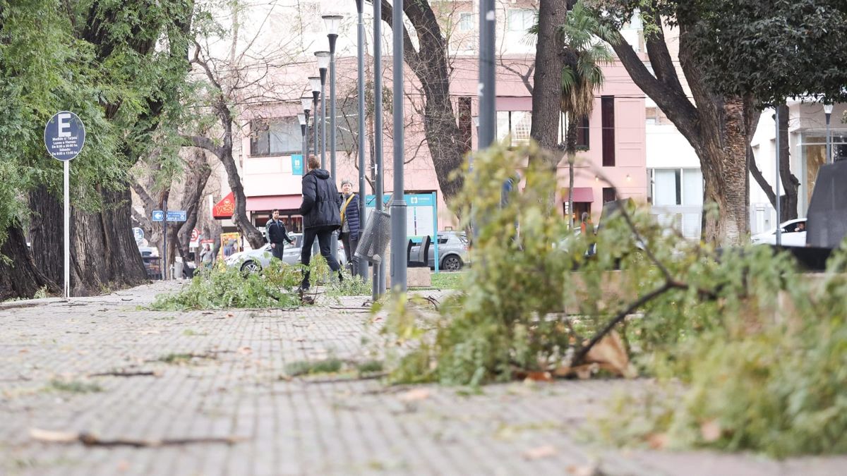 Por el Viento Zonda suspendieron las clases del turno mañana para este jueves.