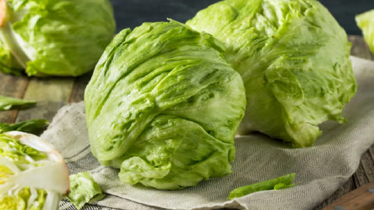 La lechuga es una de las verduras más populares La lechuga es una de las verduras más populares