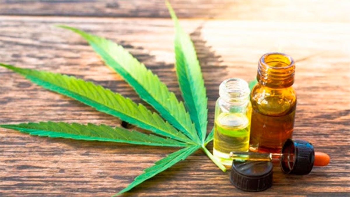 El cannabis medicinal ya está reglamentado en Mendoza.