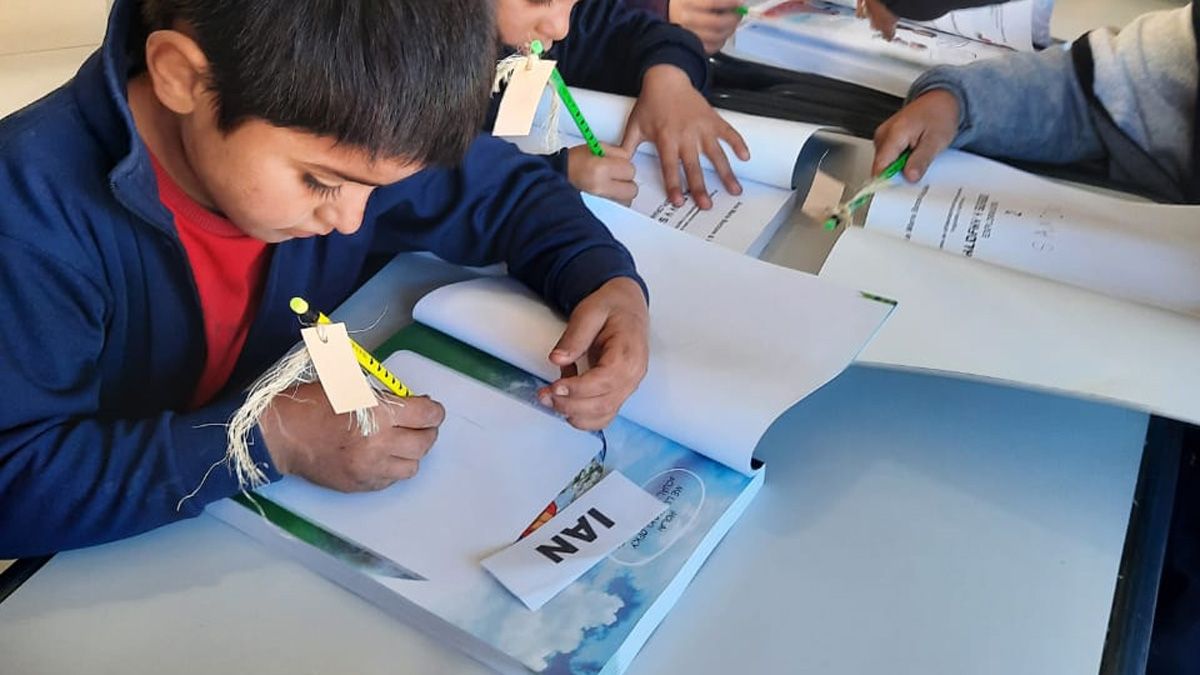 En Mendoza se aplica un programa de alfabetización inicial que ayuda a que los niños de 5 y 6 años aprendan a leer y escribir.