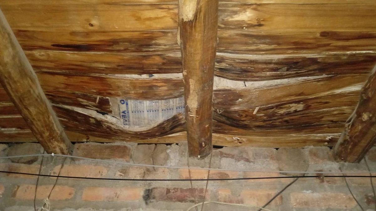 Los techos deteriorados en la precaria vivienda de Claudia. Los techos deteriorados en la precaria vivienda de Claudia.