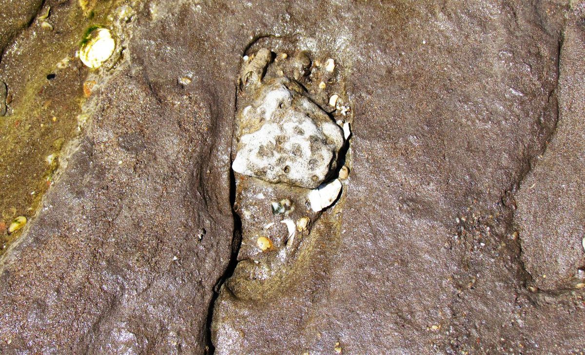 Descubrimiento en Estados Unidos cambia la historia de la humanidad en América