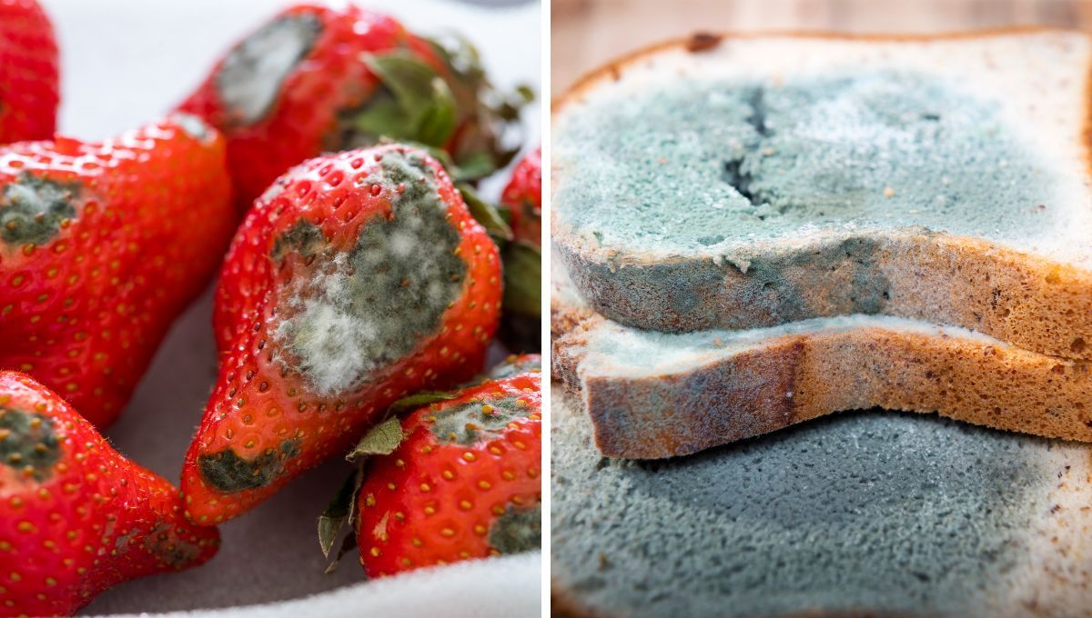 6 combinaciones de alimentos que no podés guardar juntas porque se descomponen rápidamente