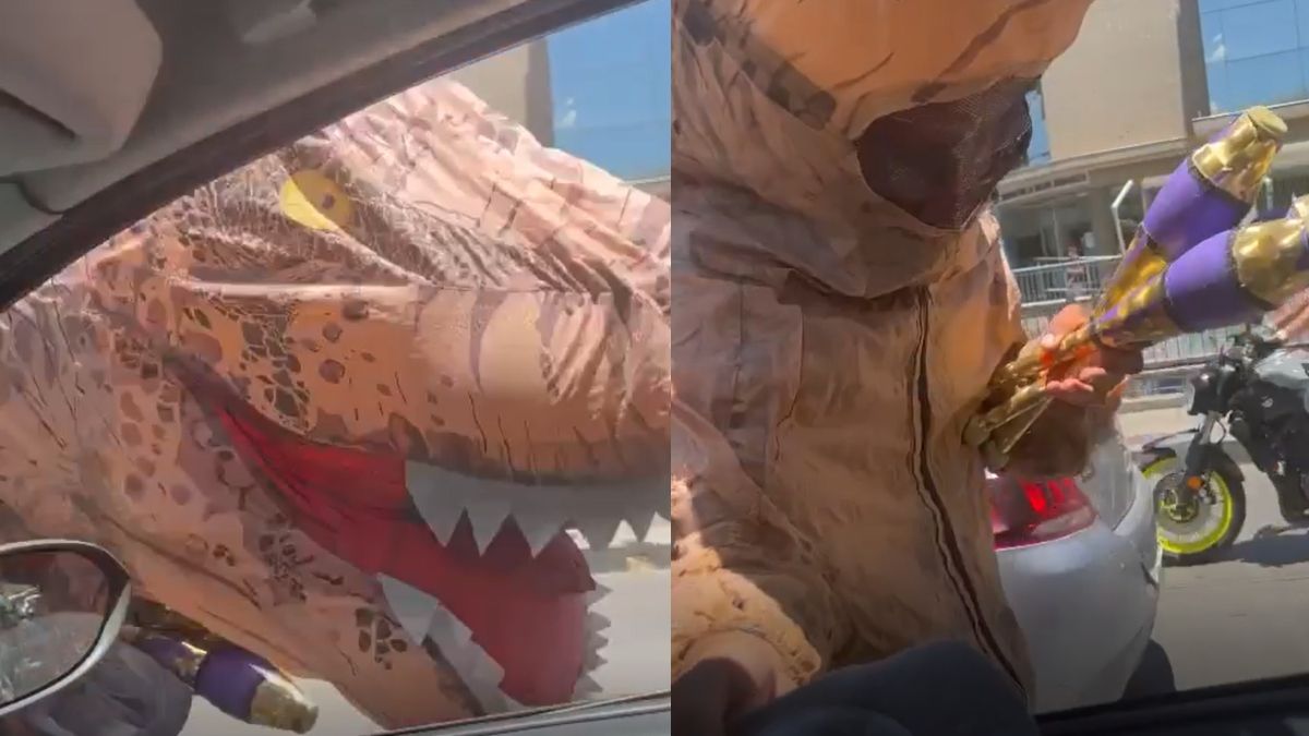 Un chico disfrazado de dinosaurio se volvió viral en Mendoza.