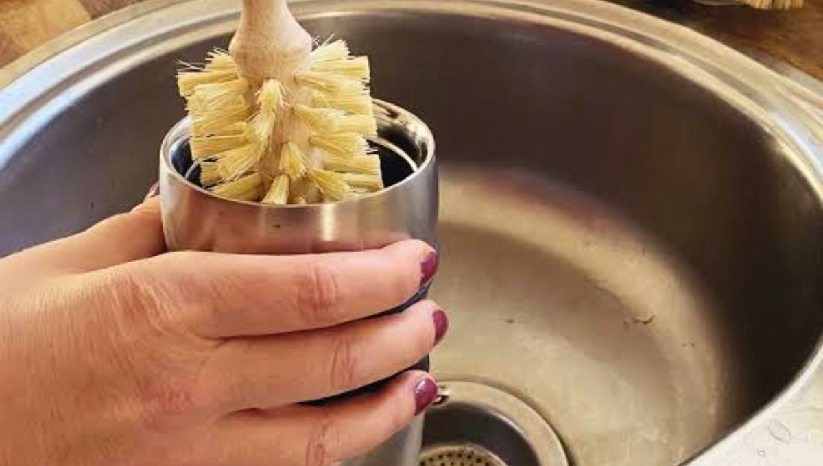 No compres cepillos especiales para limpiar botellas, créalos en tu casa con tus propias manos. No compres cepillos especiales para limpiar botellas, créalos en tu casa con tus propias manos.