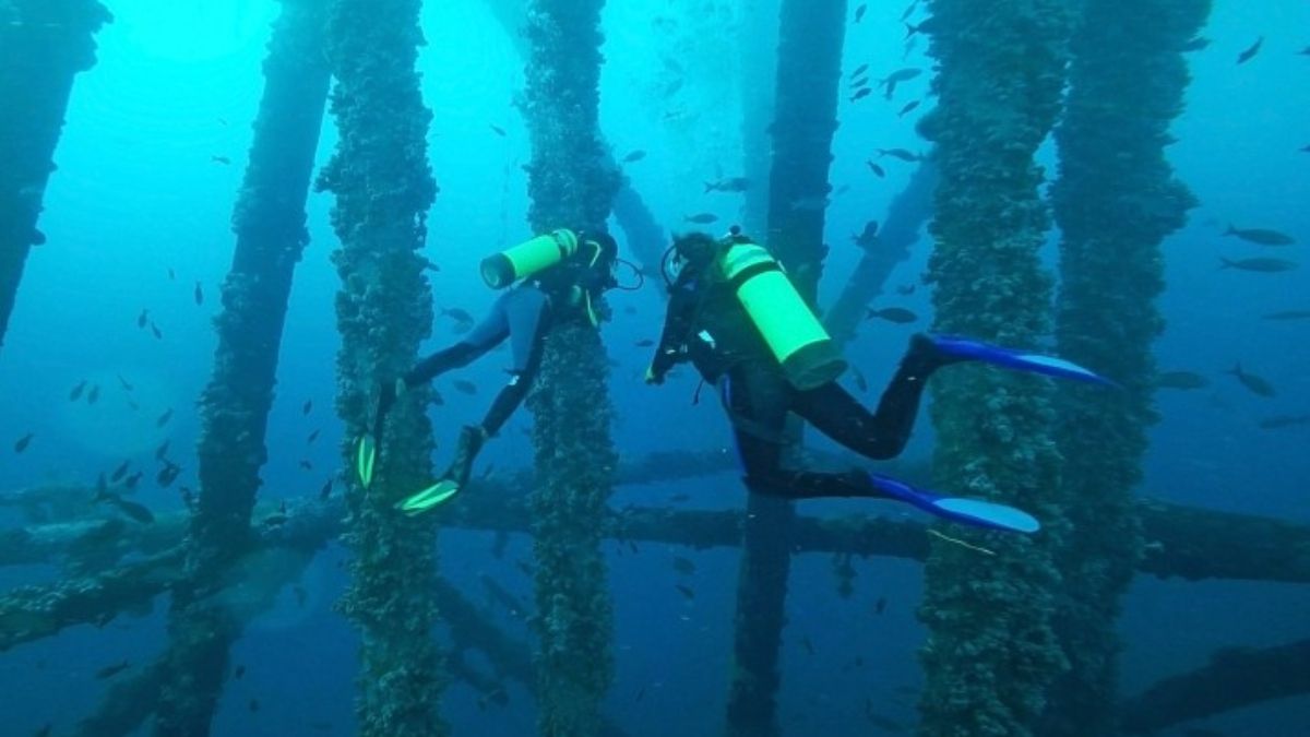 Empresas de turismo organizan excursiones de buceo alrededor de la plataforma, considerada como uno de los mejores lugares de Perú para esta actividad. Por eso, las compañías locales piden que se conserve el MX-1 (Imagen: Yuri Hooker) Empresas de turismo organizan excursiones de buceo alrededor de la plataforma, considerada como uno de los mejores lugares de Perú para esta actividad. Por eso, las compañías locales piden que se conserve el MX-1 (Imagen: Yuri Hooker)