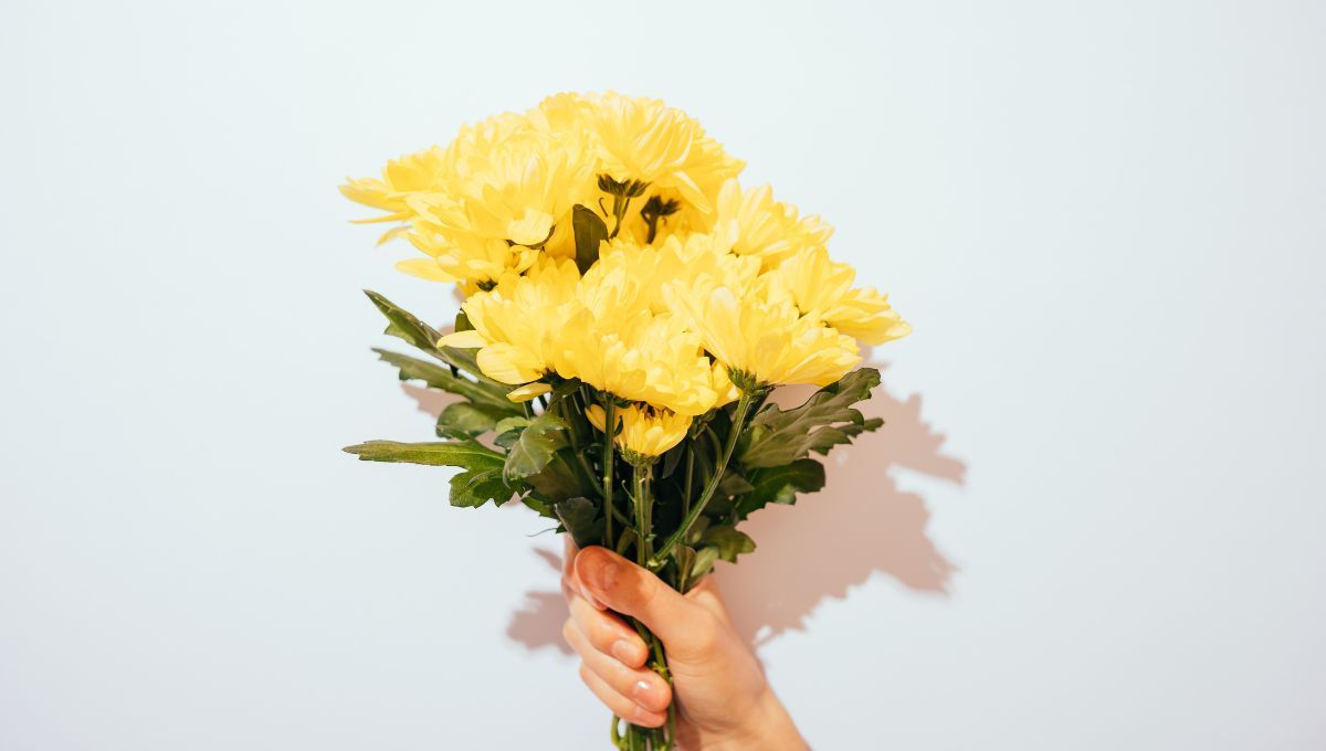 San Valentín: ¿por qué NO tienes que regalar flores amarillas?