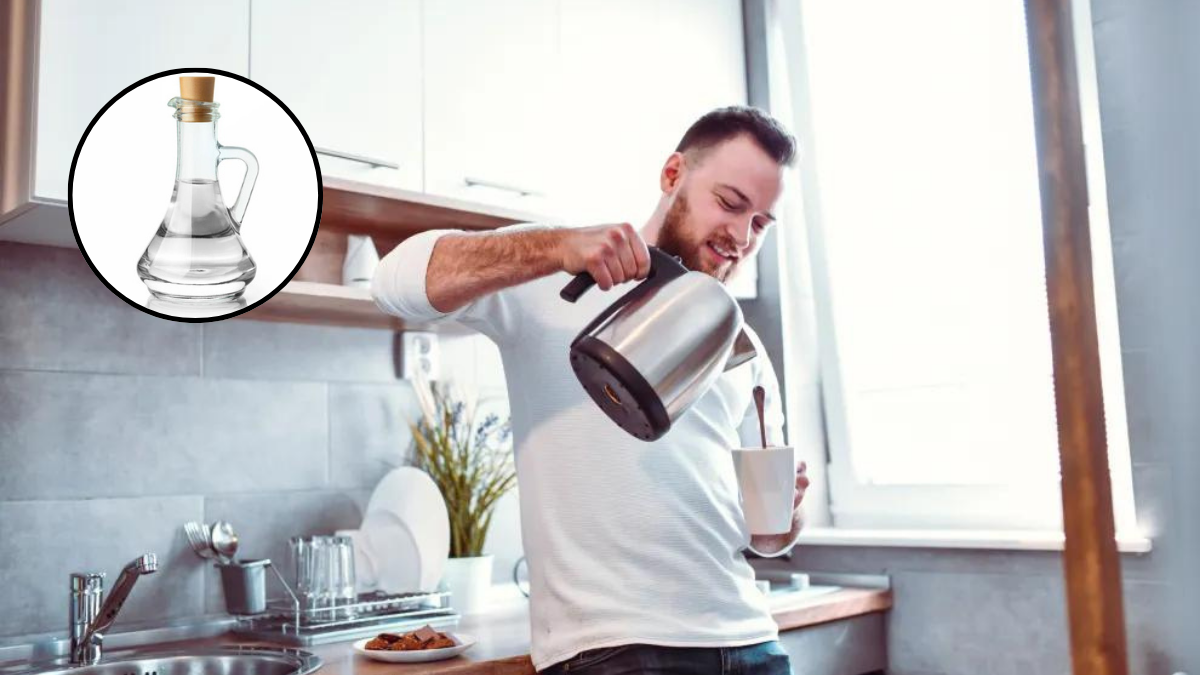 El vinagre es perfecto para quitar el sarro con este sencillo truco casero de tu pava eléctrica.