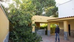 podaron un arbol que danaba su casa y el ayuntamiento les impuso una multa de 3.855 euros