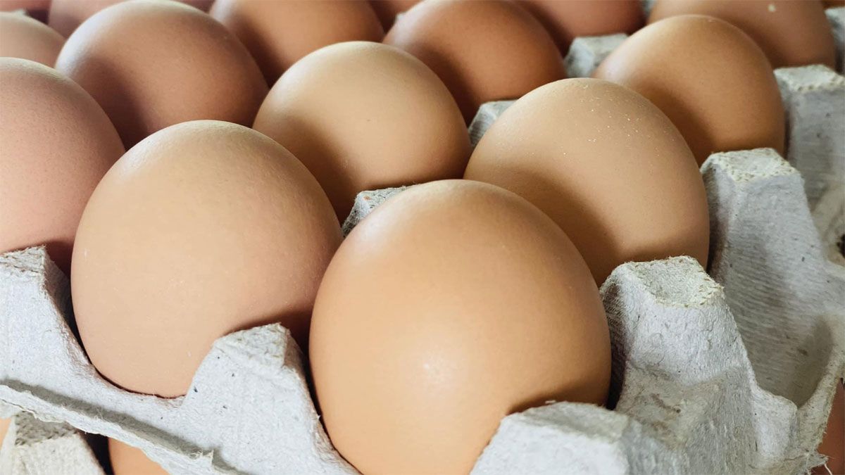 El consumo de huevos marrones le gana la pulseada a los blancos en la Argentina.