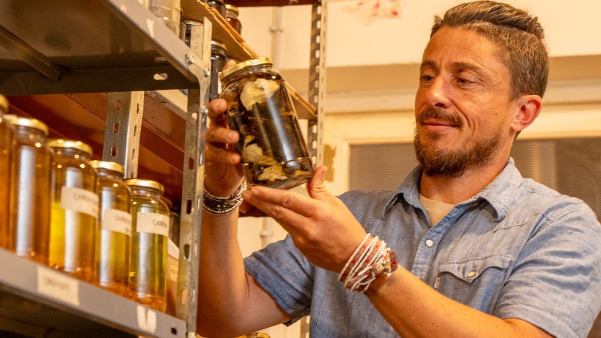 Ramiro Pérez Juez tiene 43 años, es licenciado en Comercio Internacional y emprendedor que cultiva hongos para mejorar la calidad de vida de las personas.