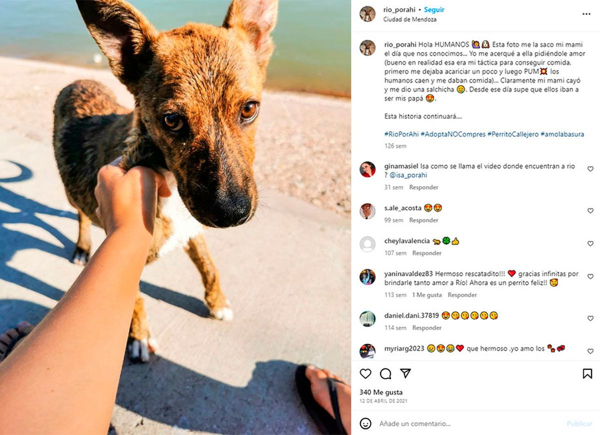 Río también tiene su red social y va compartiendo imágenes de sus viajes por el mundo. Río también tiene su red social y va compartiendo imágenes de sus viajes por el mundo.