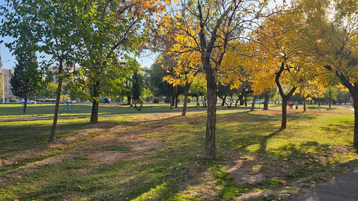 El tiempo en Mendoza se mantendrá agradable y otoñal en los próximos días. El tiempo en Mendoza se mantendrá agradable y otoñal en los próximos días.