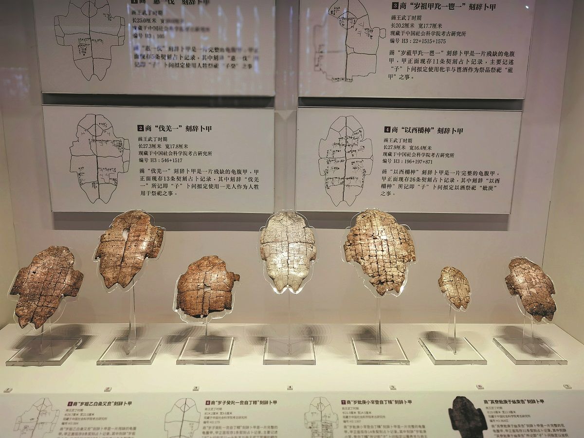 Unos huesos oraculares con inscripciones desenterrados en las ruinas de Yinxu en la ciudad de Anyang, provincia de Henan. WANG KAIHAO / CHINA DAILY