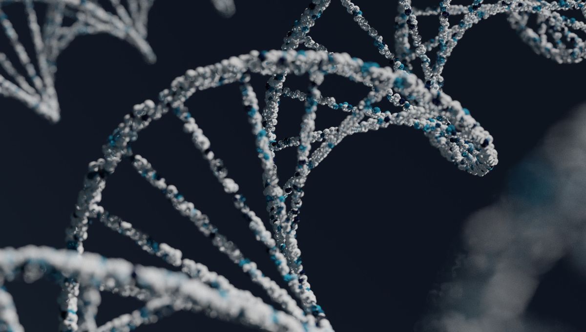 El ADN humano evoluciona como nunca: mucho más rápido, según un estudio