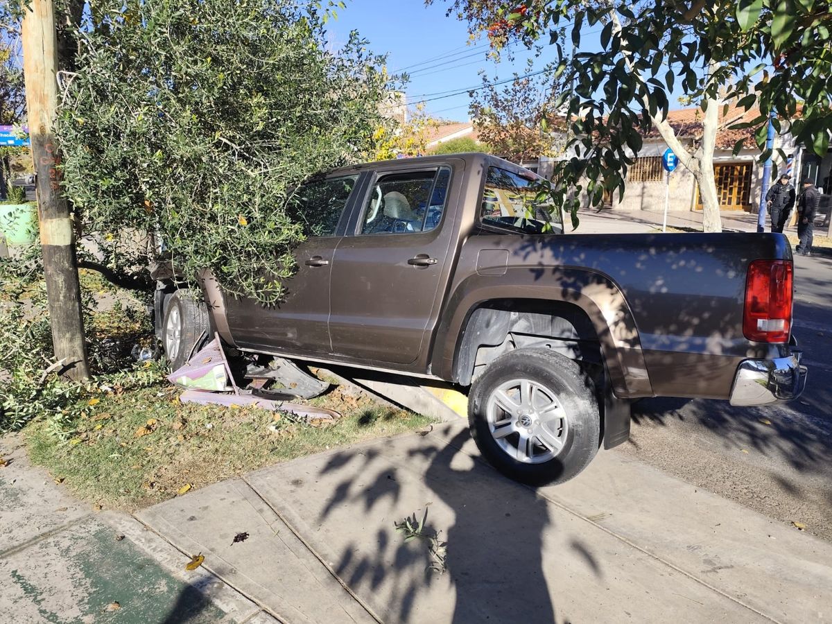 El delincuente de 30 años terminó impactando contra un árbol en la camioneta robada. El delincuente de 30 años terminó impactando contra un árbol en la camioneta robada.