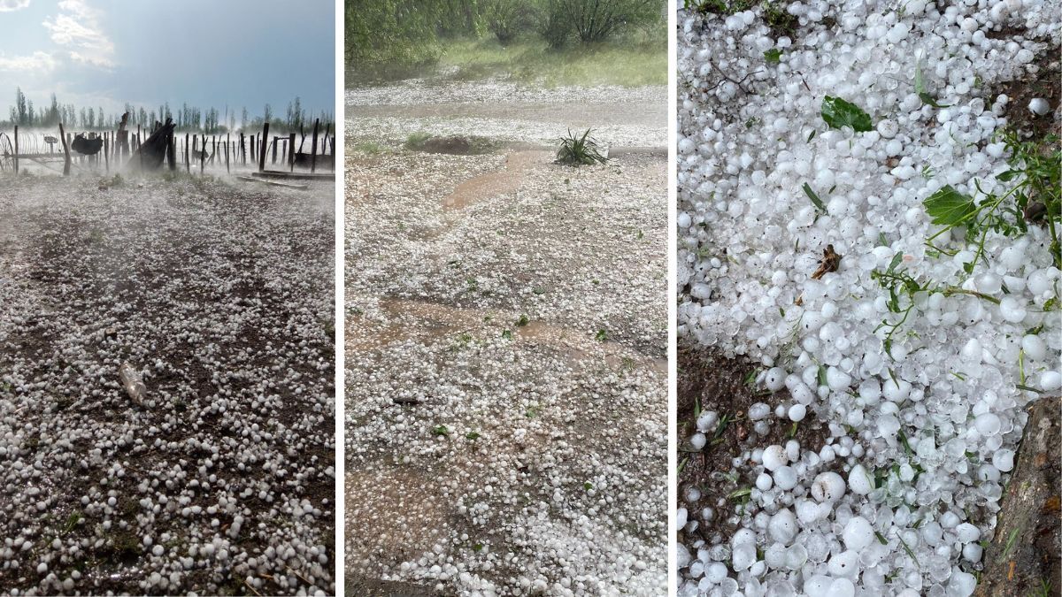 Imágenes del granizo en San Rafael.