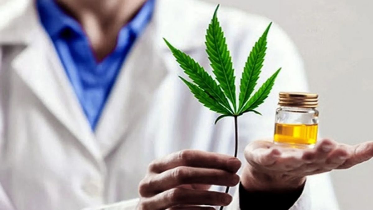 La nueva firma de cannabis medicinal instalaría en Mendoza un establecimiento alimenticio para producir a base de harina de cáñamo. 