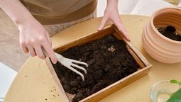 Con algunas cosas viejas lograrás renovar tu jardín. Con algunas cosas viejas lograrás renovar tu jardín.