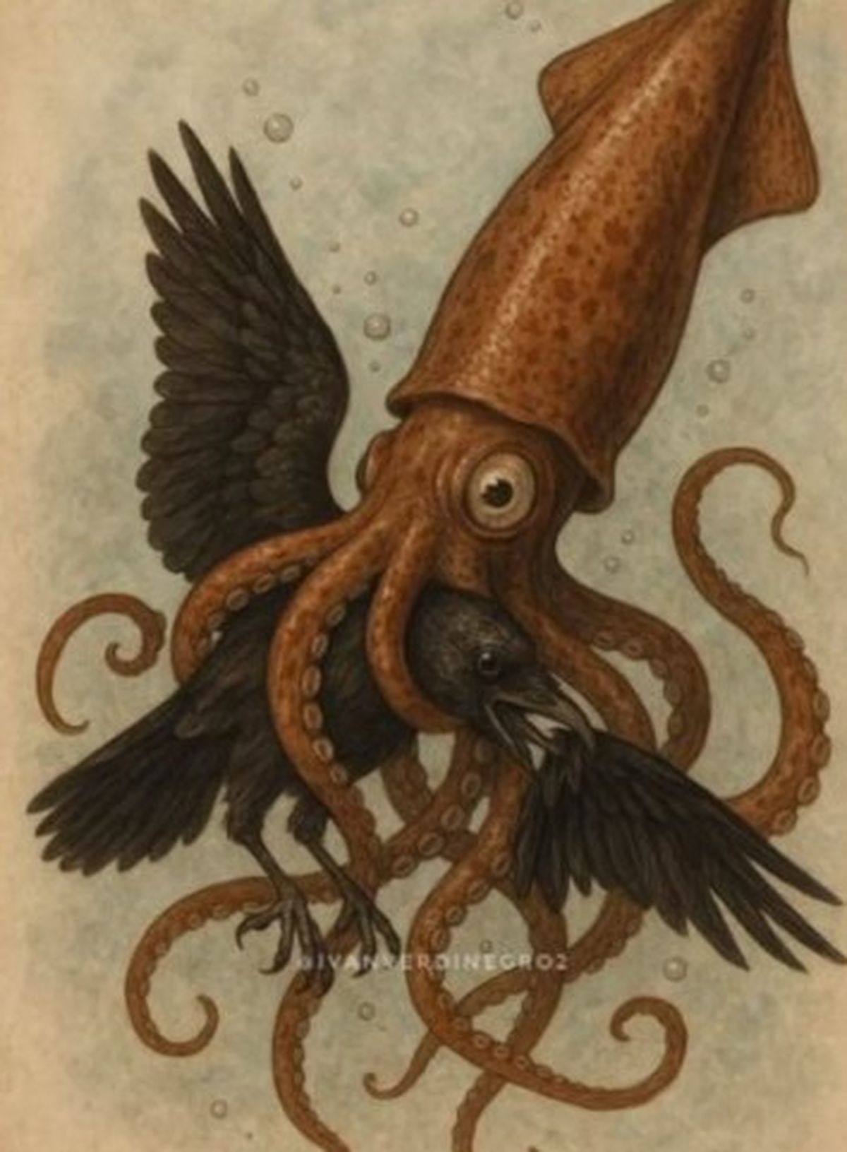 Platense jugará la final del Torneo Apertura. Platense jugará la final del Torneo Apertura.