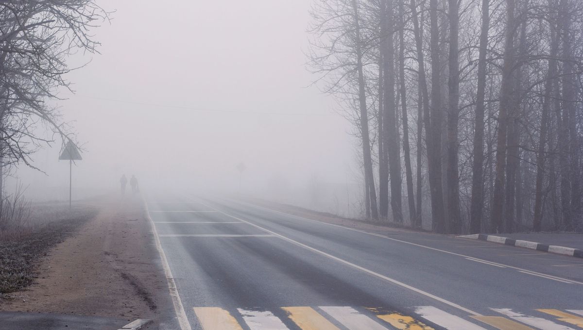 Por qué la niebla y la neblina no son lo mismo. Por qué la niebla y la neblina no son lo mismo. 