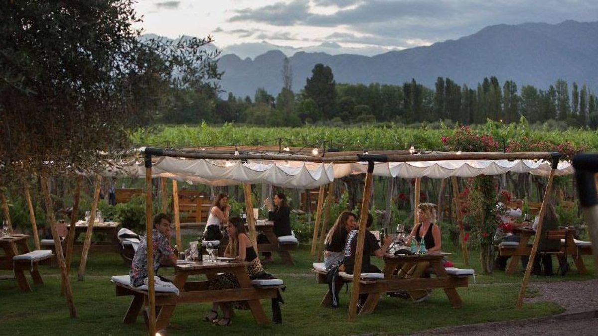 El enoturismo es una de las experiencias elegidas por el turista en su paso por Mendoza.