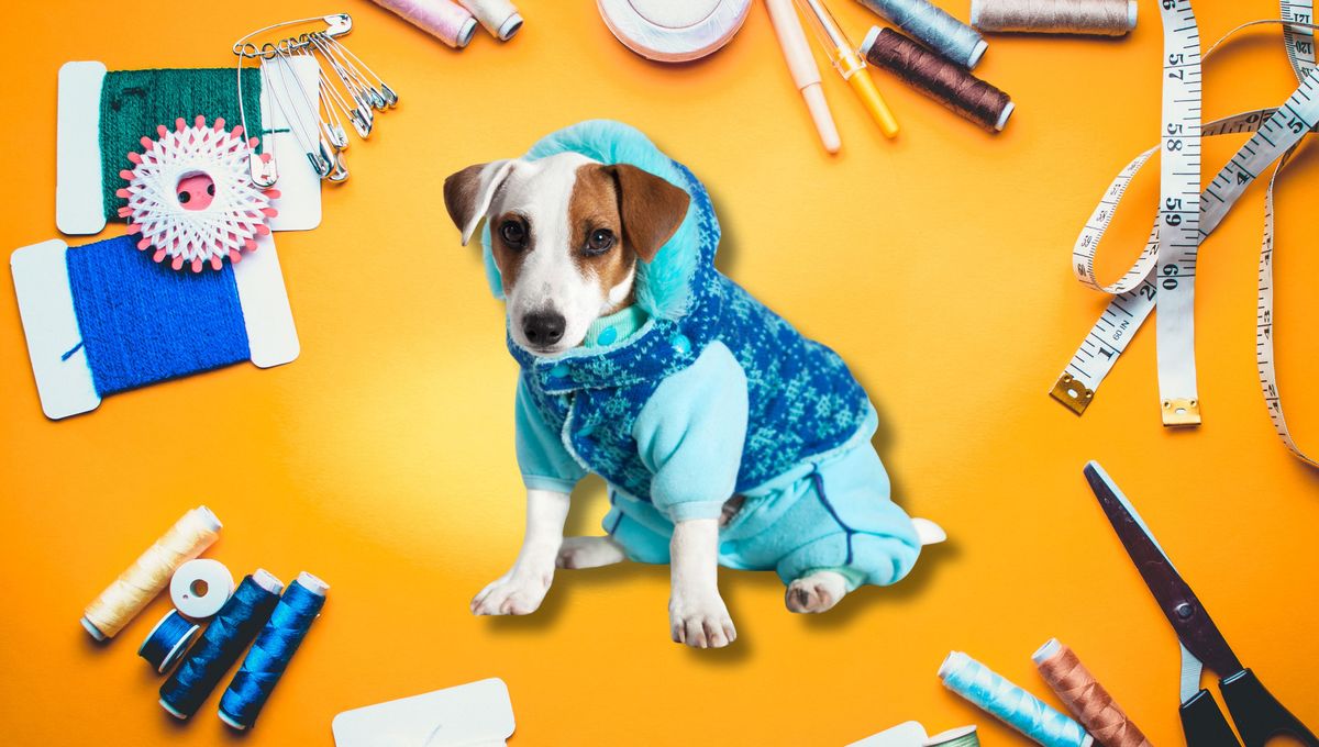 Coser tus propias prendas es una enorme oportunidad de ahorro y creatividad