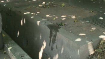 Cómo fue el robo que terminó con una mujer quemada en su cara con ácido