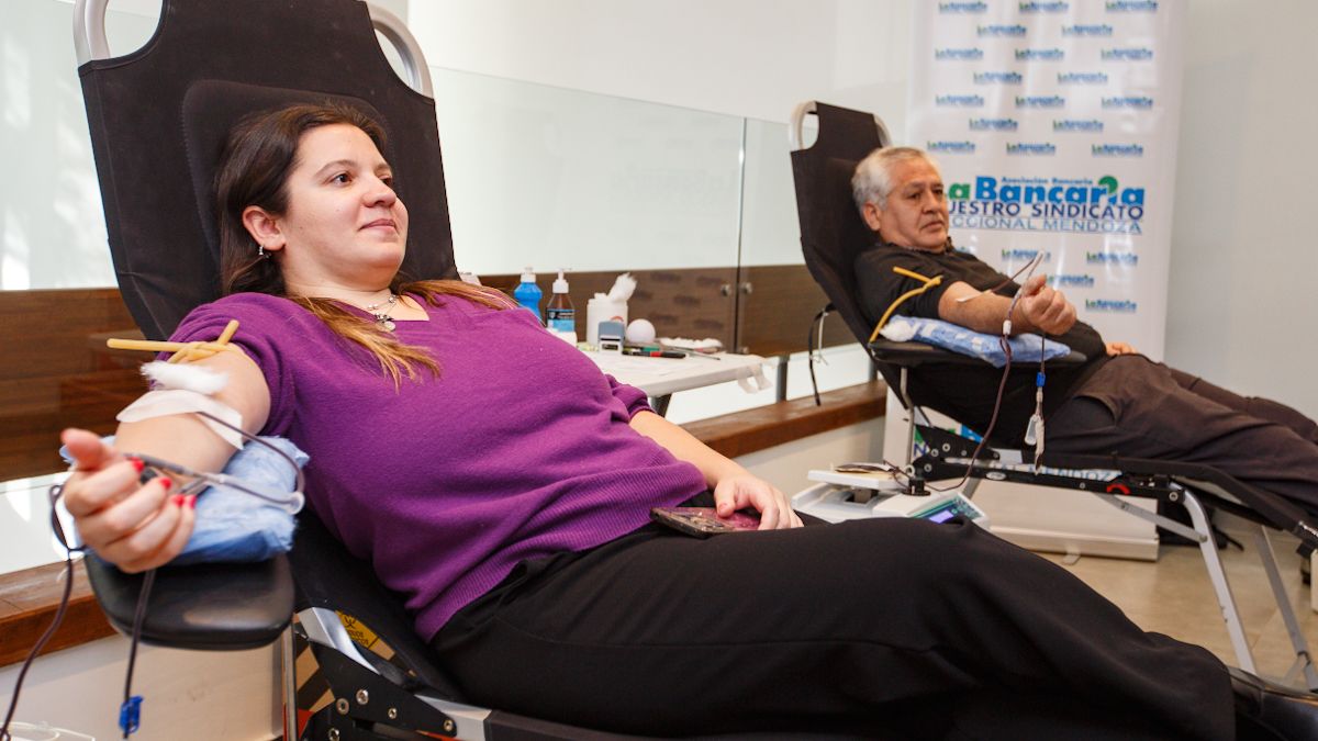 Trabajadores bancarios, sus familias y miembros de la comunidad participaron de una nueva jornada solidaria de Sangre de Campeones Trabajadores bancarios, sus familias y miembros de la comunidad participaron de una nueva jornada solidaria de Sangre de Campeones