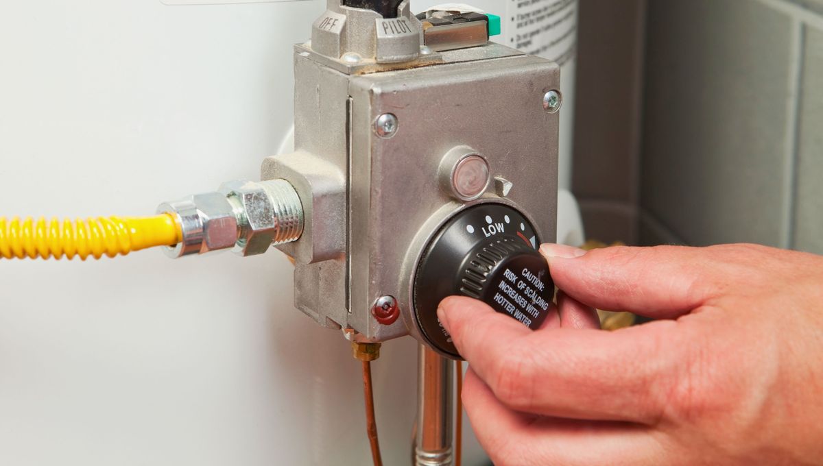 Esta elecci&oacute;n no puede realizarse de manera azarosa, requiere de paciencia y tranquilidad.&nbsp;