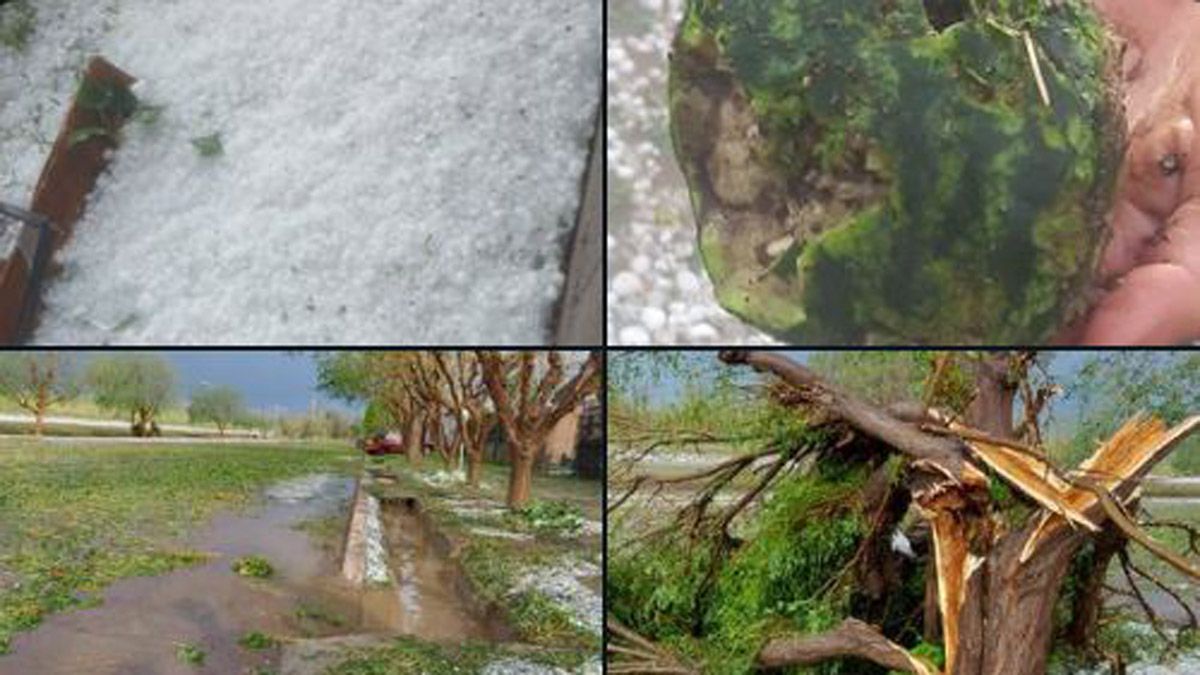Imágenes de la caída de granizo en Las Catitas y en La Dormida. Imágenes de la caída de granizo en Las Catitas y en La Dormida.