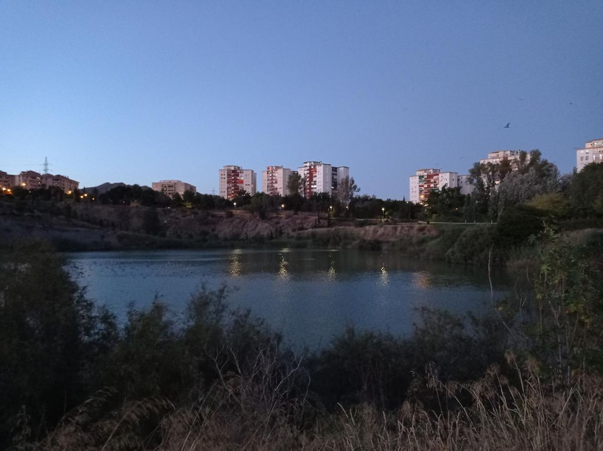 El parque es una sorpresa inesperada para quienes visitan Málaga. El parque es una sorpresa inesperada para quienes visitan Málaga.