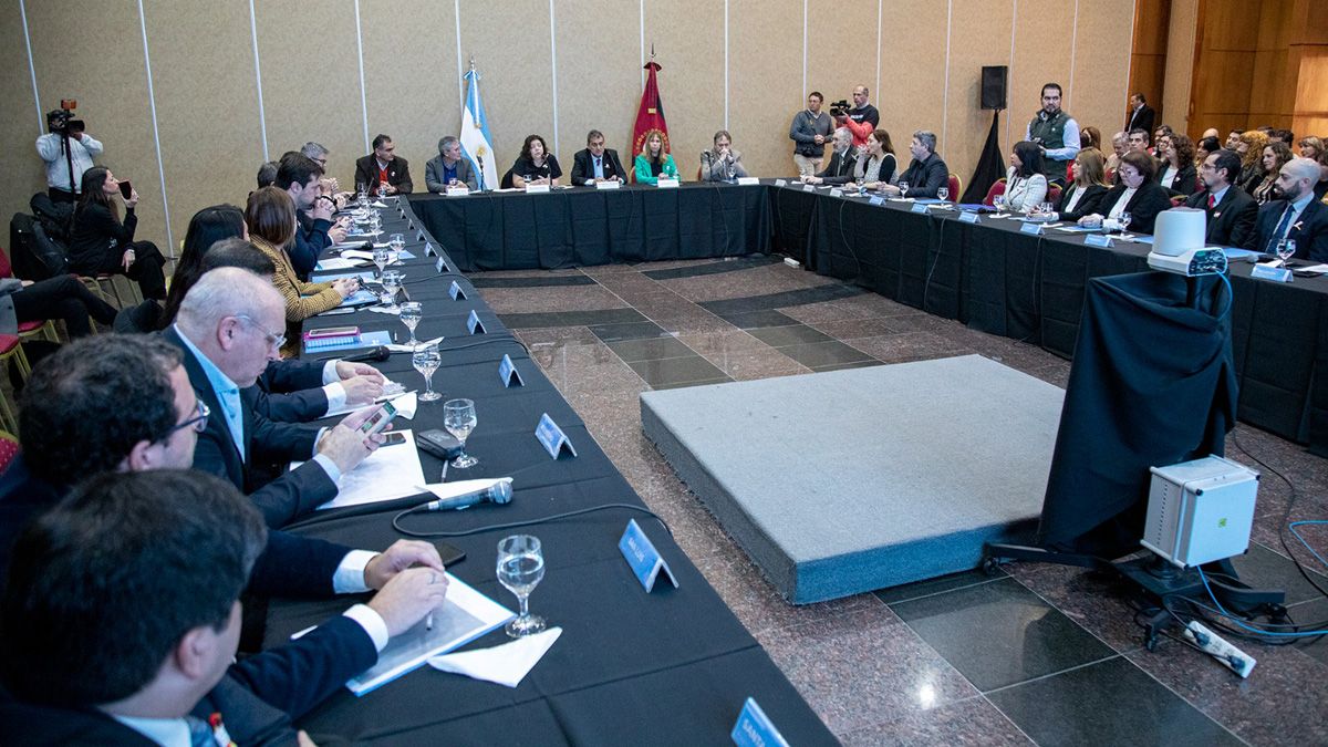 La reunión del Consejo Federal de Salud en Salta.