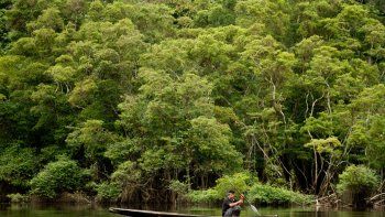 En sólo un año se duplicó la tala de árboles en Colombia