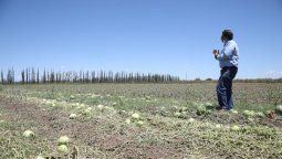 Qué dice el pronóstico del tiempo. El director de Contingencias Climáticas, Julio Eluani, recorrió los distritos de San Rafael afectados por la fuerte tormenta de granizo. Foto: Gobierno de Mendoza.