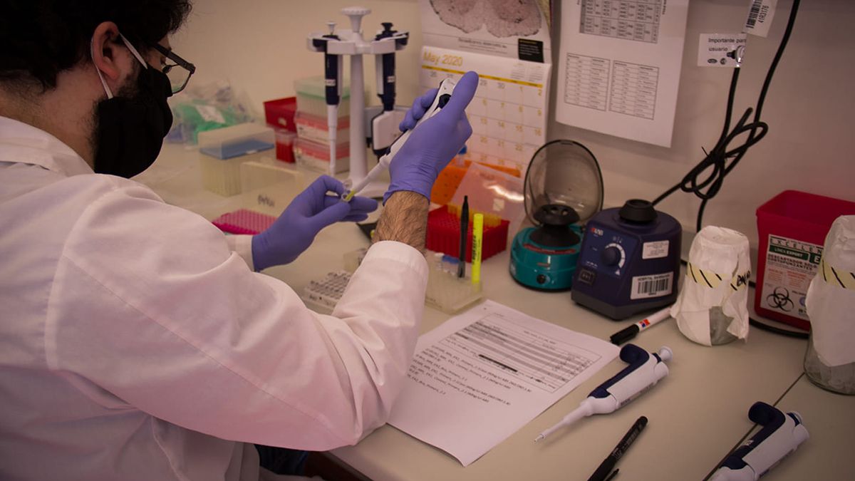 La ivermectina es una droga antiparasitaria de amplio uso en medicina humana y veterinaria.