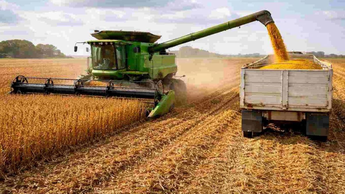 El campo volvió a ser uno de los grandes motores con una suba del 17,9%.