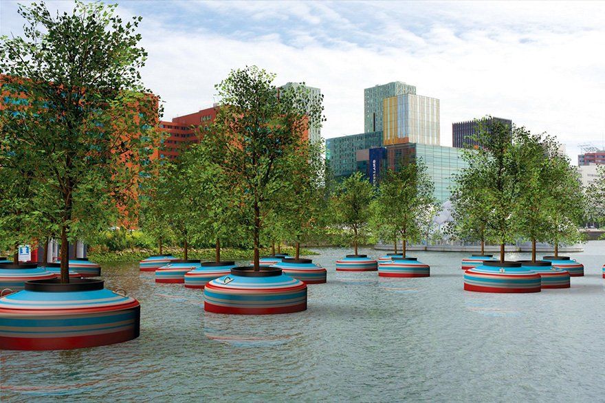 Bosque flotante en las aguas de Rotterdam para generar conciencia sobre el cambio climático