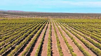 El país de América Latina que desafía a España en una industria que dominó el mundo por siglos El país de América Latina que desafía a España en una industria que dominó el mundo por siglos