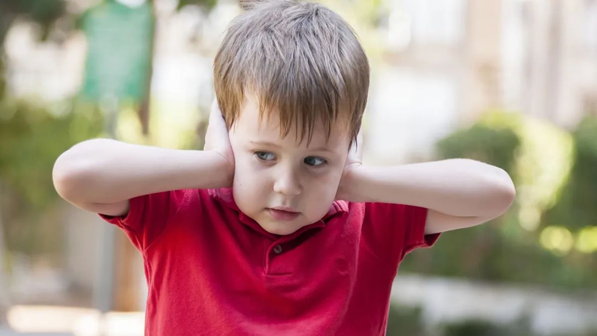 El autismo es una condición que afecta el desarrollo del cerebro y causa problemas sociales y de comunicación El autismo es una condición que afecta el desarrollo del cerebro y causa problemas sociales y de comunicación