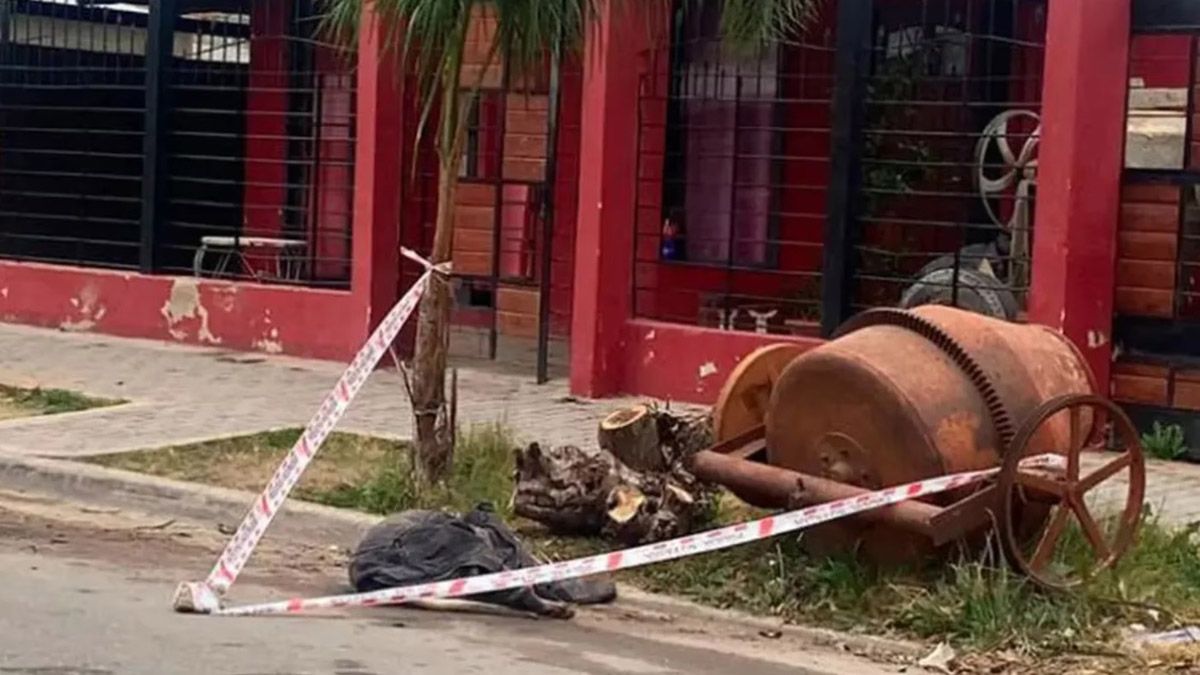 Una adolescente de 15 años murió tras ser atacada por dos perros dogo en Córdoba. Uno de los animales quedó en la calle tras ser apuñalado por un vecino