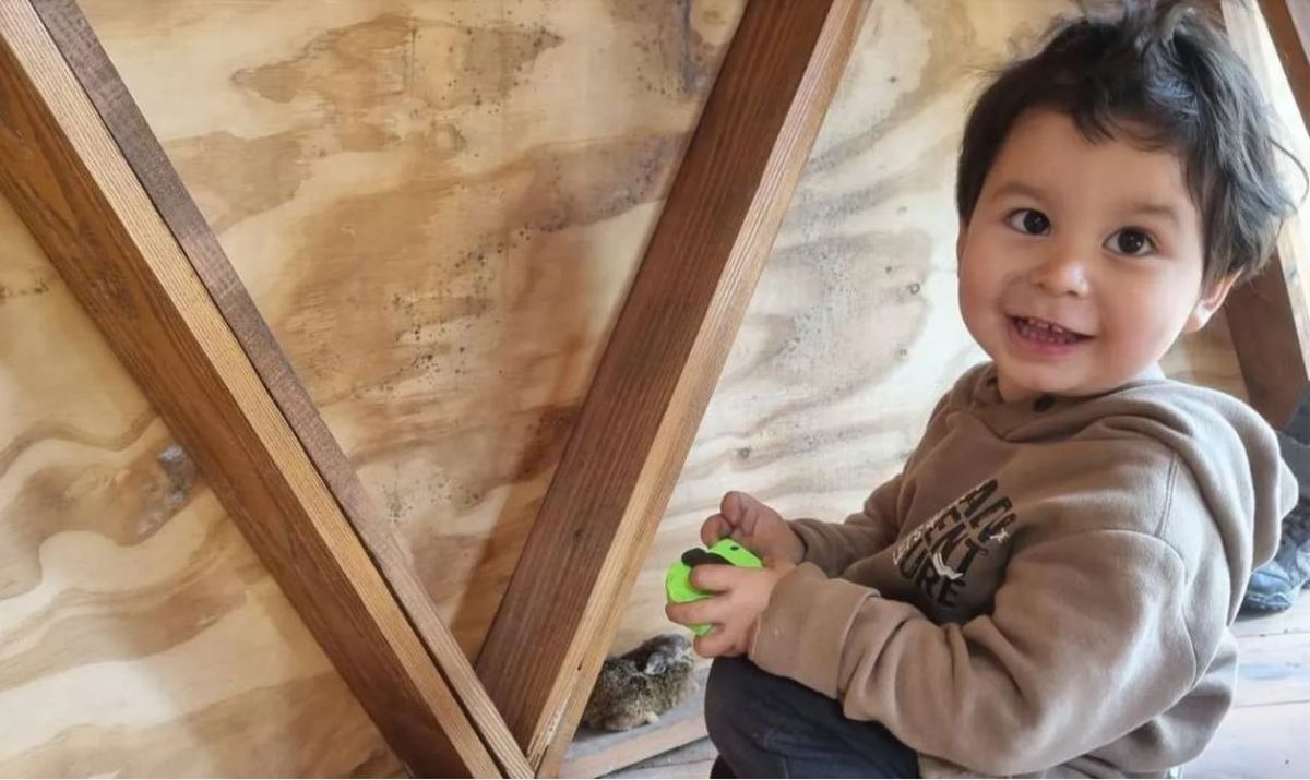 Milagro. Apareció el nene de 2 años que permaneció solo en los bosques de Bariloche.&nbsp;