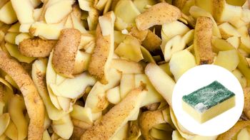 El truco con cáscara de papa que elimina la suciedad del objeto de cocina con más bacterias que un inodoro El truco con cáscara de papa que elimina la suciedad del objeto de cocina con más bacterias que un inodoro