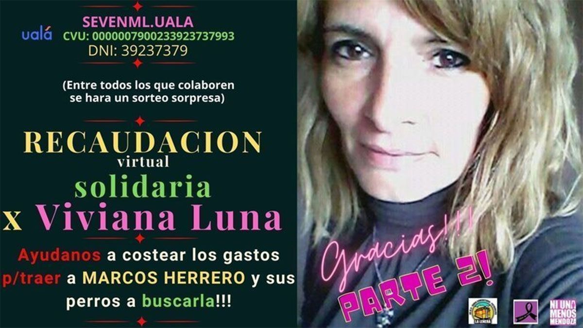 Los hijos de Viviana Luna necesitan juntar $200 mil para buscar a su madre.