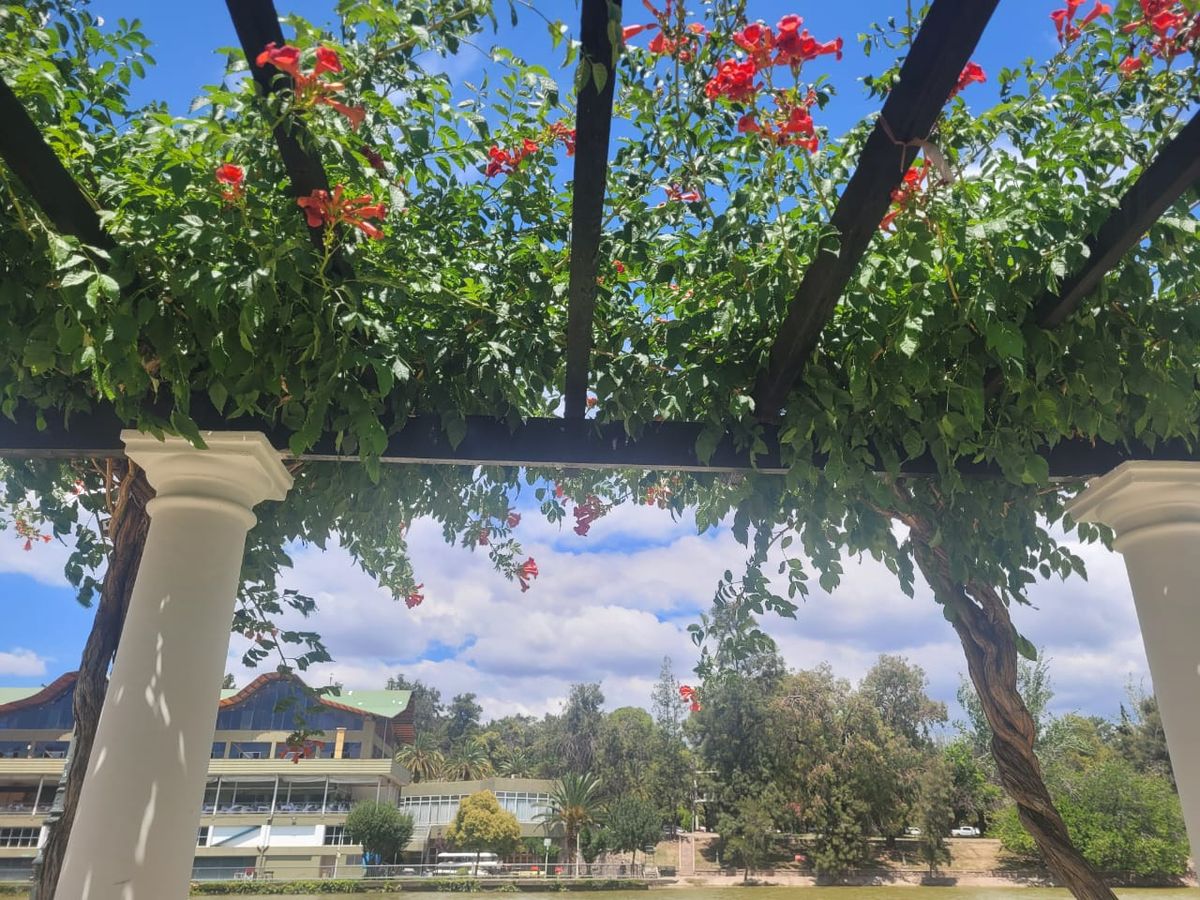 En la zona del Rosedal siempre hay un obrero arreglando algo. En la zona del Rosedal siempre hay un obrero arreglando algo.