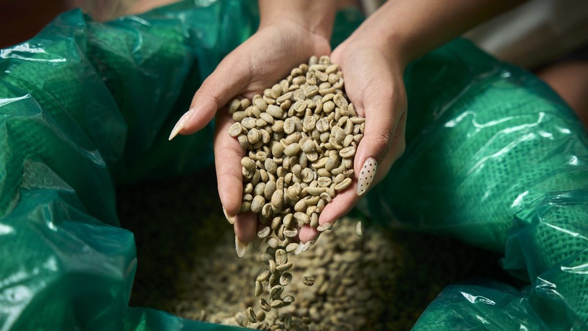 Los granos de café importados son la materia prima de Aconcagua Coffee que abastece a más de 50 locales de Mendoza. Los granos de café importados son la materia prima de Aconcagua Coffee que abastece a más de 50 locales de Mendoza.