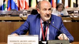 El ministro de Producción de Mendoza, Rodolfo Vargas Arizu, durante las jornadas organizadas por la CEPAL y el CFI. El ministro de Producción de Mendoza, Rodolfo Vargas Arizu, durante las jornadas organizadas por la CEPAL y el CFI.