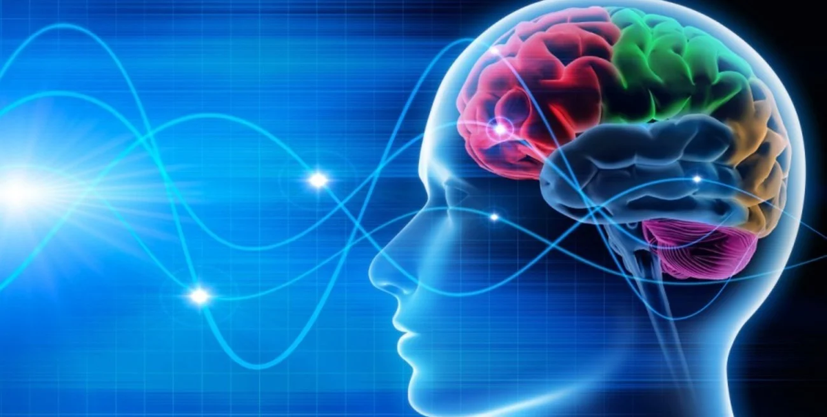 Tu cerebro funcionará mejor con un desafío matemático. Tu cerebro funcionará mejor con un desafío matemático.