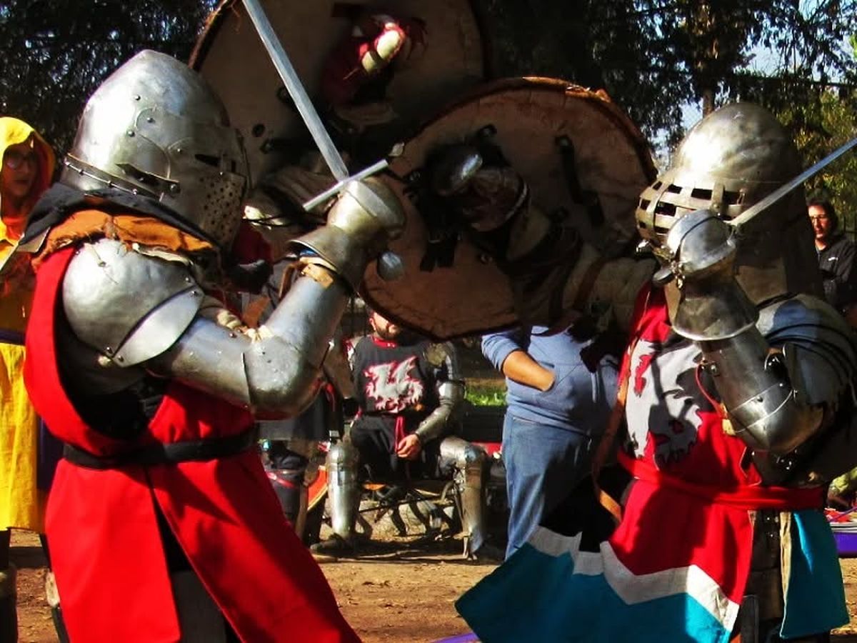 Hace 7 años se formó Legión Draconia Mendoza. El equipo suele entrenar en parques públicos. Hace 7 años se formó Legión Draconia Mendoza. El equipo suele entrenar en parques públicos.